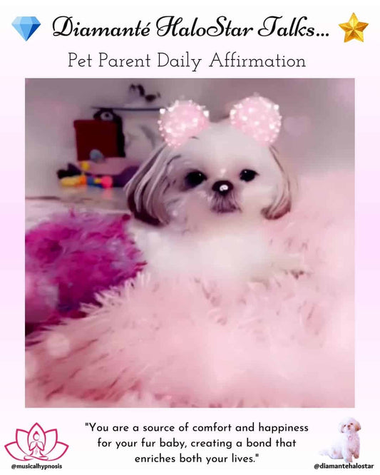 💎Dɪᴀᴍᴀɴᴛᴇ HᴀʟᴏSᴛᴀʀ Tᴀʟᴋs…Pet Parent Affirmation🌟 