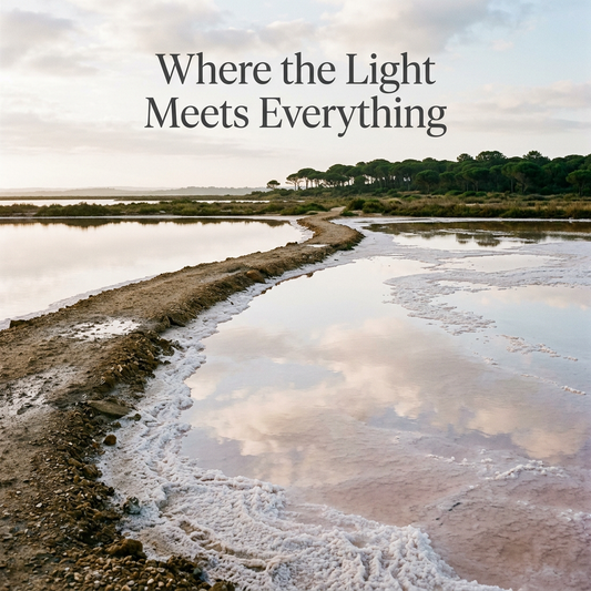 A curving earthen path divides reflective coastal salt pools beneath pine trees, with Where the Light Meets Everything headline