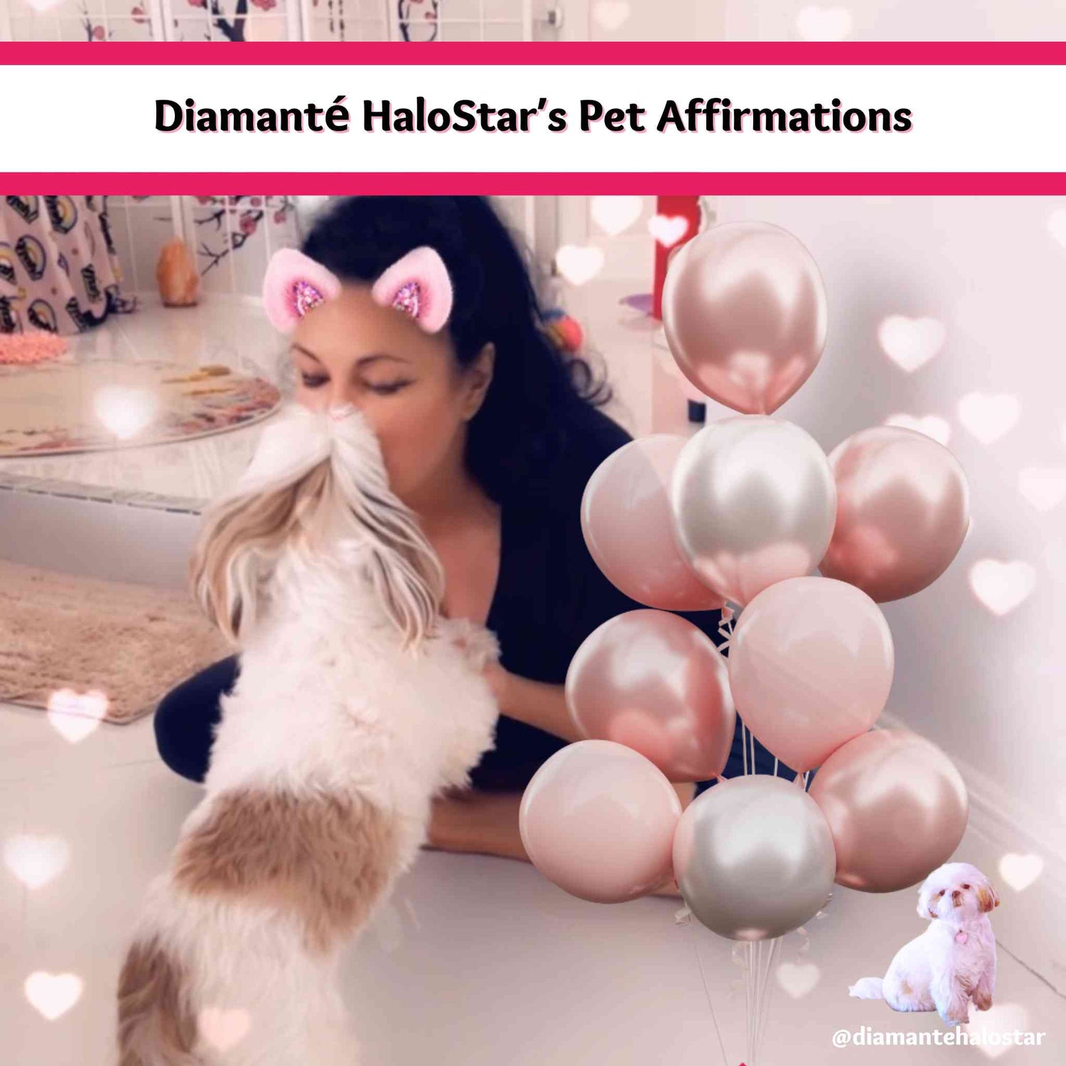 Diamanté HaloStar Talks is a Shih tzu that speaks pet parents affirmations