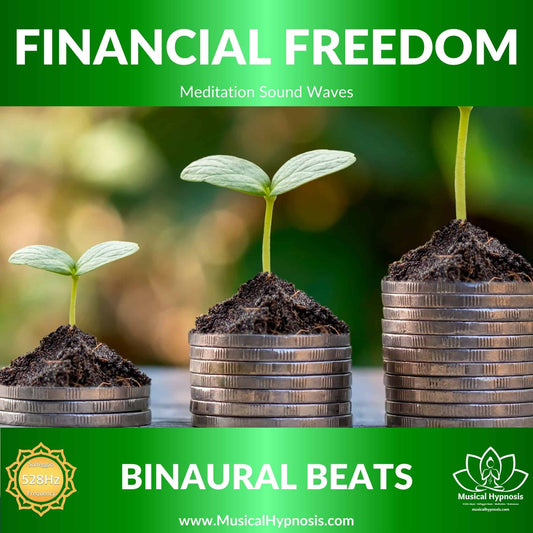 Financial Freedom Binaural Beats | 30 minutes