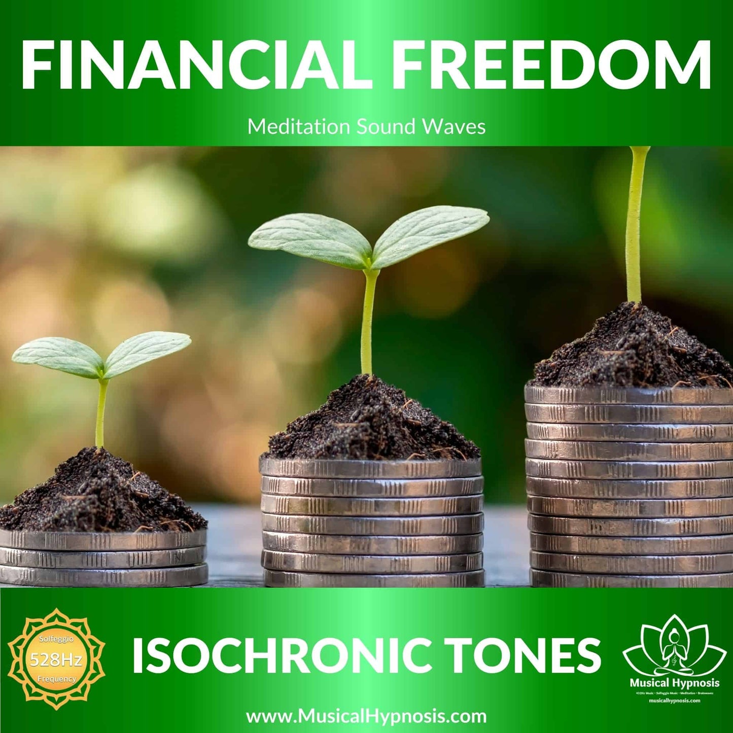 Financial Freedom Isochronic Tones | 30 minutes